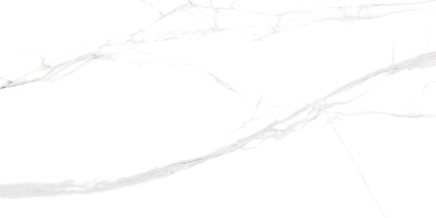 Calacatta Borghini Grey — porcelain tile face
