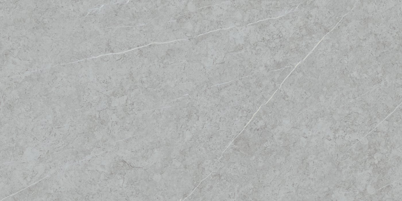 Paradise Silver — porcelain tile face