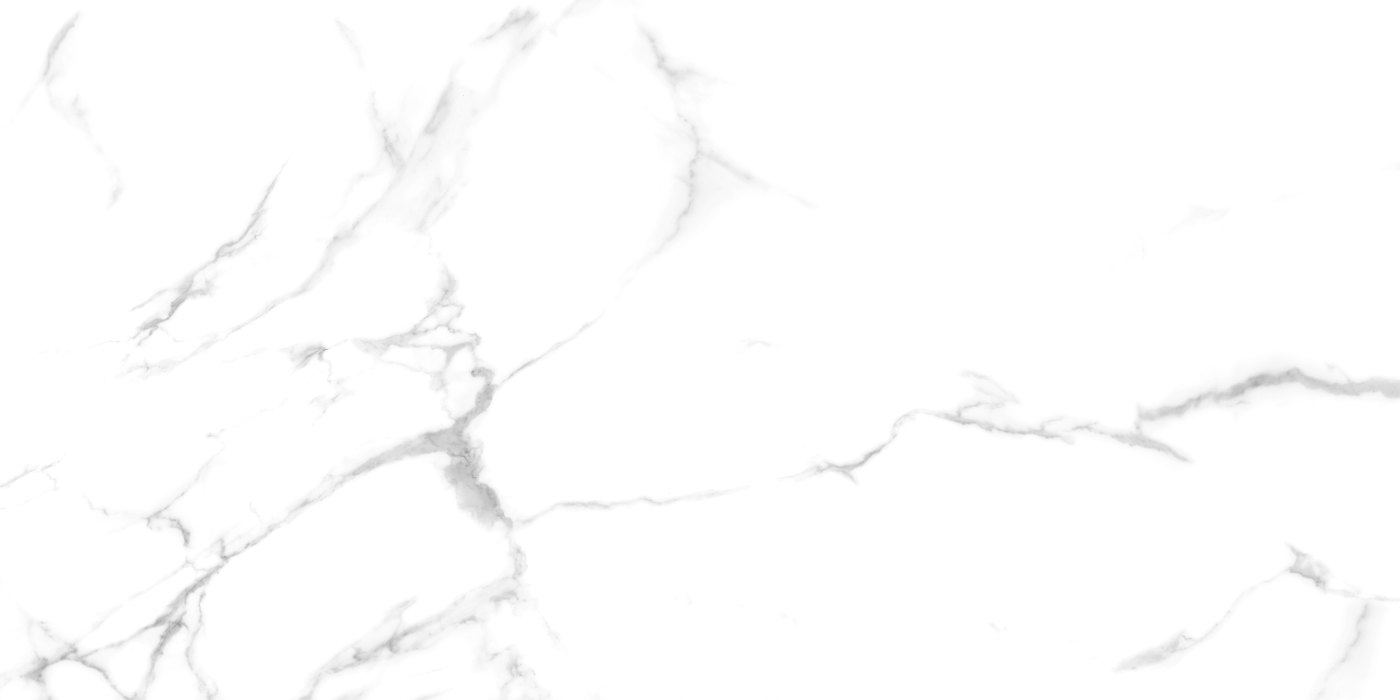 Statuario Di Carrara — porcelain tile face